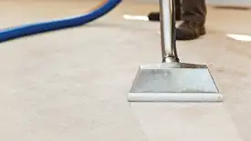 Carpet cleaning wand head gliding over a light carpet during hot-water extraction, Columbia, SC.