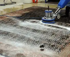 Professional rug cleaning with a rotary floor machine and shampoo foam, deep-cleaning an area rug, in Columbia, SC.