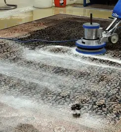 Professional rug cleaning with a rotary floor machine and shampoo foam, deep-cleaning an area rug Columbia, SC.